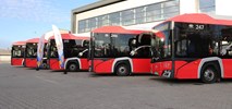 Mielec na zakupach. Szuka siedmiu elektryków