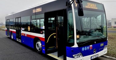 Bydgoszcz: Kobiety za kółkiem i trudności z imigrantami 