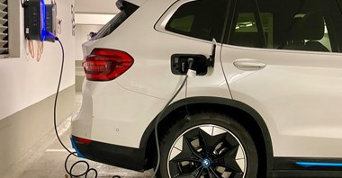Jakim zainteresowaniem cieszy się program NaszEauto? 
