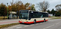 Tczew odpiera zarzuty Relobusa: „Nie obniżyliśmy standardów”