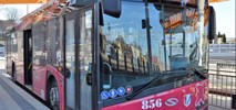 Bezpłatne parkowanie, ale nie bez ograniczeń – Stargard stawia na rotację