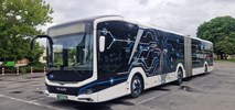 Szczecin. SPAD testuje elektryczny autobus MAN