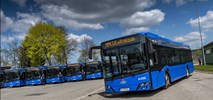 MPK Kraków bierze 48 spalinowych Solariów. W tle ponad 140 kolejnych