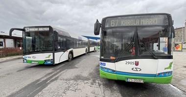 Szczecin ruszył na duży autobusowe zakupy. Nawet 44 "hybrydy"