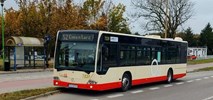 RELOBUS wygrywa w Tczewie. GRYF przegrywa jakością