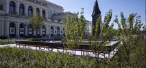 Warszawa: Zazielenianie pl. Bankowego trwa - połowa za nami