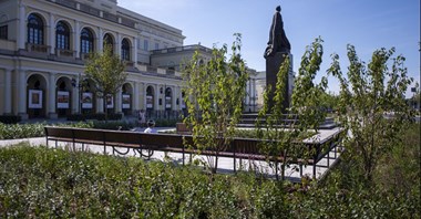 Warszawa: Zazielenianie pl. Bankowego trwa - połowa za nami