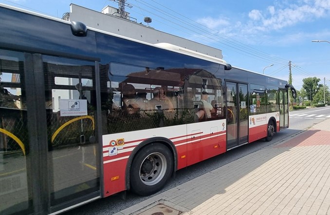 Opole ponawia przetarg na pięć autobusów spalinowych