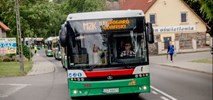 Bezpłatne poniedziałki dla posiadaczy dowodów rejestracyjnych w Starogardzie Gdańskim