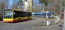 Wrocław. MPK szuka projektantów torowisk na Mickiewicza i Łokietka
