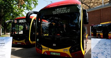Wrocław. Nowe autobusy i linie: letnio-jesienne zmiany w aglomeracji