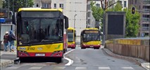 Łódź. 1 listopada komunikacja będzie bezpłatna? Jest projekt uchwały