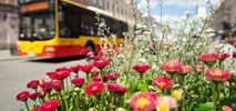 120 nowych autobusów dla Warszawy