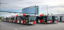 Dwuprzegubowe autobusy podbijają Europę, w Polsce blokują je przepisy