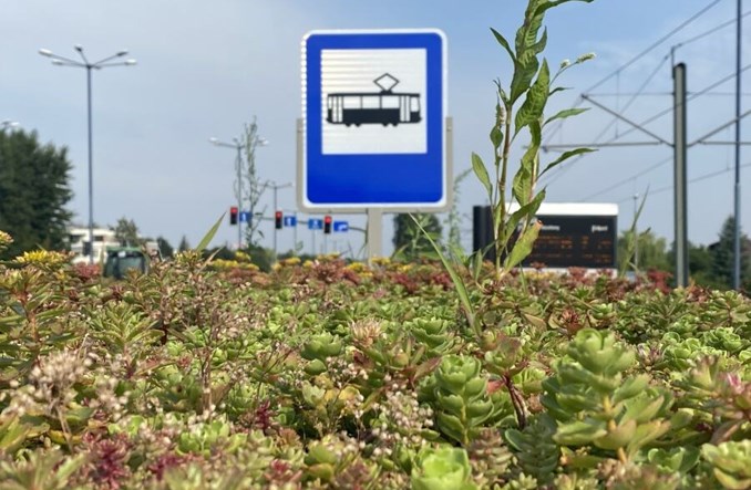 Kraków. Zielone dachy na wiatach przystankowych – chłodniej i bardziej ekologicznie