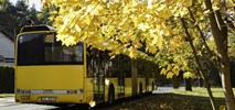 Przejazd pod wiaduktem kolejowym na ul. Załęskiej w Katowicach ponownie otwarty