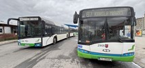 Szczecin otworzył oferty na autobusy mild hybrid dla SPA Dąbie