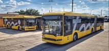 Timisoara z pierwszym trolejbusem od Bozankaya
