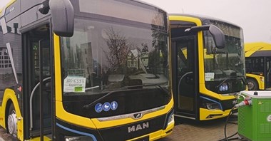 Włocławek ponawia próbę kupienia 14 nowych elektrobusów MAXI