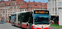 Czy GAiT wykupi 48 Mercedesów Citaro?