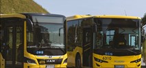 Świerklaniec szuka miniaturowych autobusów. Przetarg na 12 nowych pojazdów