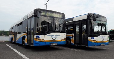 Świnoujście planuje dywersyfikację taboru komunikacji miejskiej