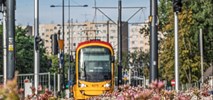 Tramwaje Warszawskie zazielenią kolejne torowiska