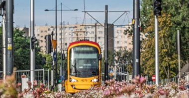 Tramwaje Warszawskie zazielenią kolejne torowiska Tramwaje Warszawskie zazielenią kolejne torowiska