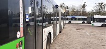 MAN i Solaris znów w grze. Szczecin otworzył oferty na sześć hybryd