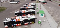 Radom kupił 12 kolejnych autobusów elektrycznych