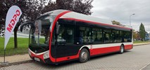 Opawa szuka nowych autobusów i trolejbusów