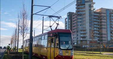 Łódź. Kolejne nasadzenia, blisko 100 drzew na ulicach miasta