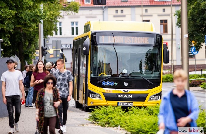 W Lubinie bezpłatna komunikacja działa od ponad dekady. Co się zmieniło w tym czasie?