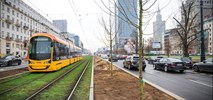 Pierwsze drzewa wzdłuż torowiska na Marszałkowskiej już posadzone