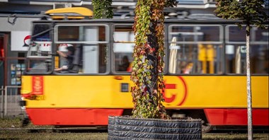 Tramwaje Warszawskie zazielenią kolejne słupy trakcyjne