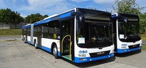 Gdynia szuka 12 spalinowych autobusów w dwóch wersjach 