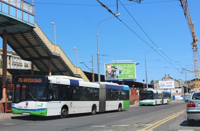 Szczecin szuka przewoźnika na linie na żądanie