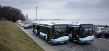Osiem nowych Solarisów wyjedzie na dwie z najdłuższych tras w Gdyni