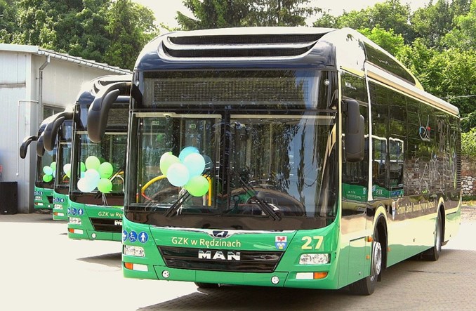 Koronawirus doprowadzi do likwidacji komunikacji gminnej w Rędzinach?