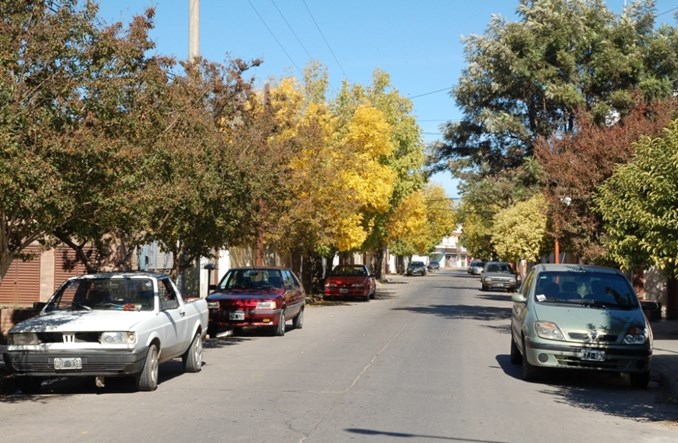 Zieleń w miastach: rośnie świadomość, ale...