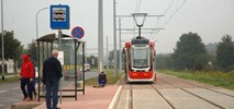 Chaosu raczej nie będzie. Sejm przełożył o kolejny rok przepisy ustawy o PTZ