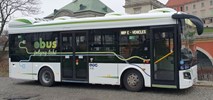 Gmina Bełchatów wybrała dostawcę autobusów