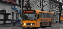 Solaris też w Żywcu. Jedyna oferta na trzy autobusy