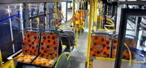 Polkowice bez dzierżawy autobusów