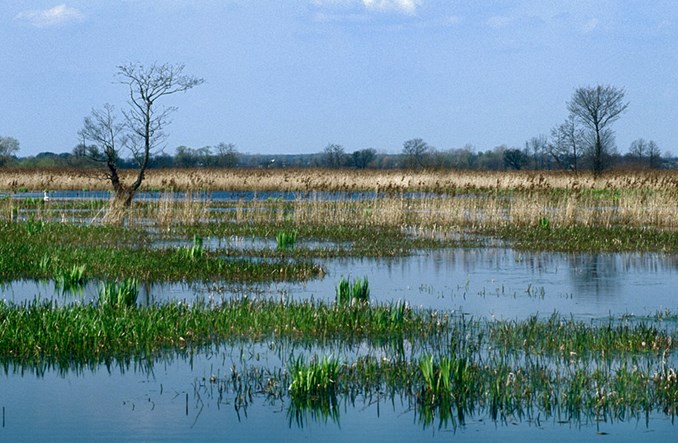 Skierniewice i Bolimów połączy droga rowerowa. Z kostki