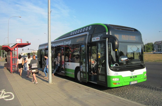 Białystok patrzy ekologicznie, ale z diesla nie rezygnuje