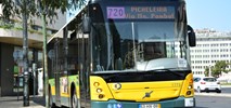 Bus sharing: Elastyczne telebusy szansą na równe możliwości komunikacyjne?