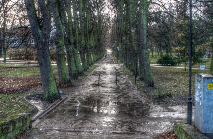 Nowa Politechniczna – a może tramwajem przez cmentarz?