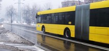 Katowice: W oczekiwaniu na 40 autobusów. Szczegóły przetargu