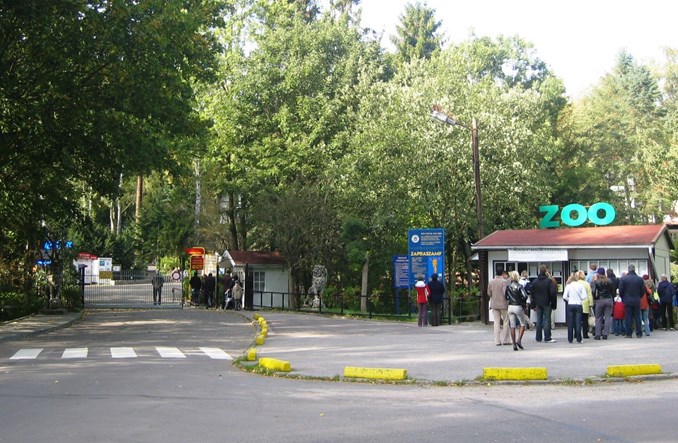 Tramwajem do zoo. Oliwa nowym salonem Gdańska?